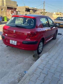 بیجۆ 307